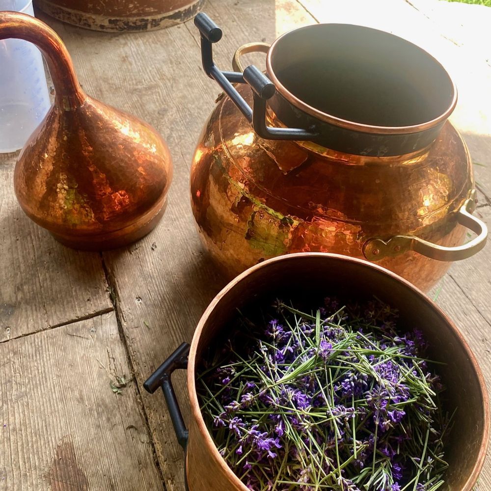 Destillation von Aromapflanzen