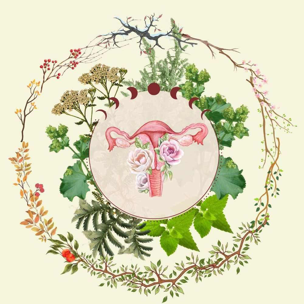 Pflanzenkraft & Zyklusweisheit