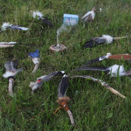 Räucherfederbau und mehr