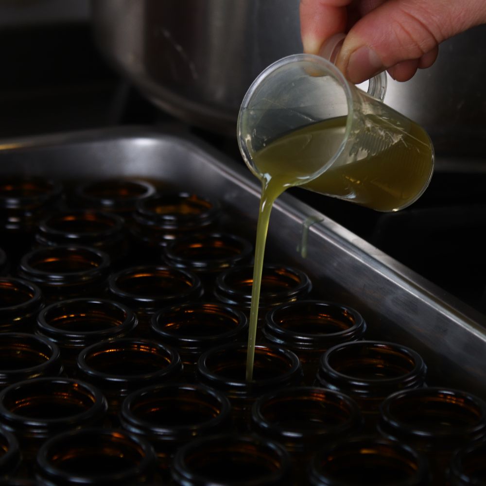 Von Wurzel und Frucht - Herbstheilkunde