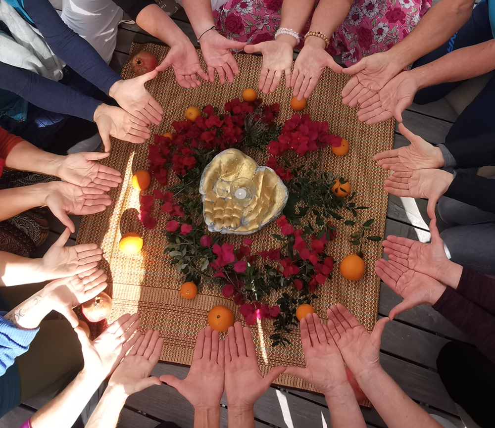 Handreflexmassage: Basis- und Aufbauseminar