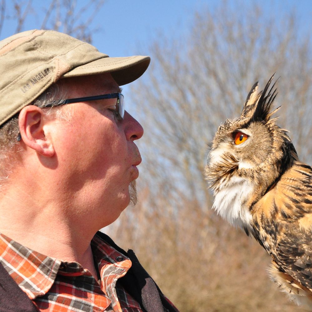 Die geheime Sprache der Vögel