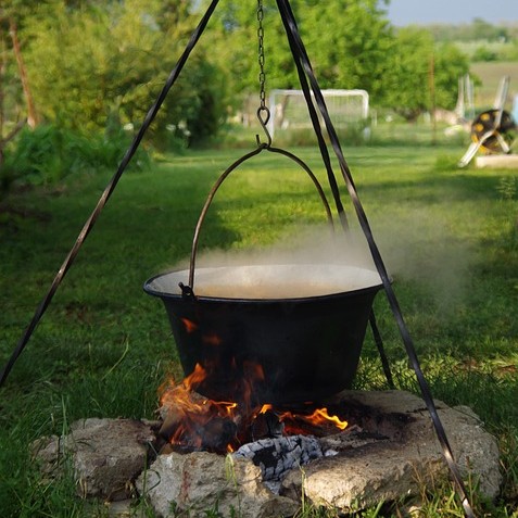Wilde Küche - Kochen am Feuer mit den Kräutern des Herbstes