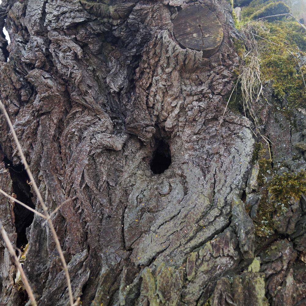 Geomantie - Geheimnisse der Erde