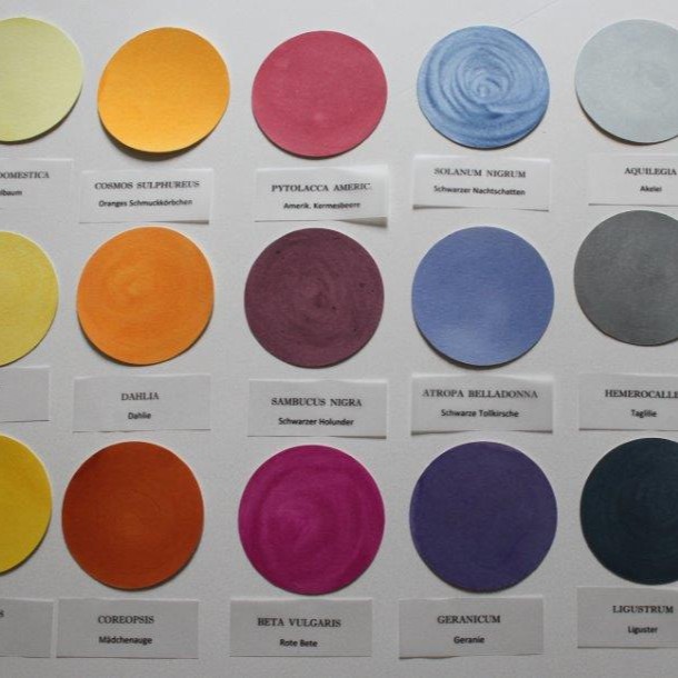 WILDE FARBEN  - Pflanzenfarben selbst herstellen