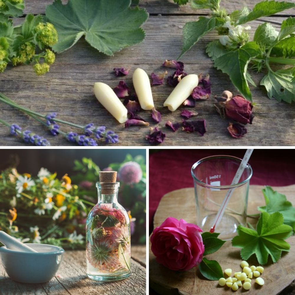 Pflanzenkraft für die Yoni – Ganzheitliche Schoßraumpflege &