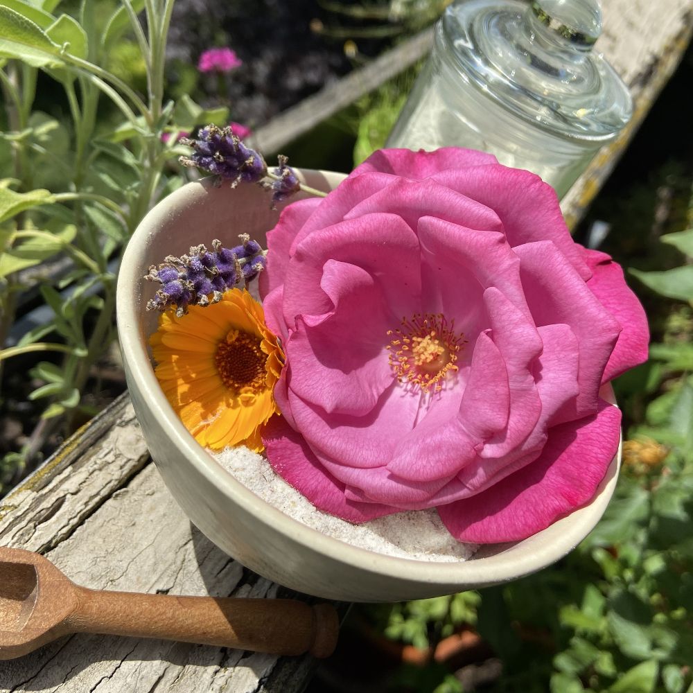 Kräuterführung für Anfänger & Kräutersalzherstellung